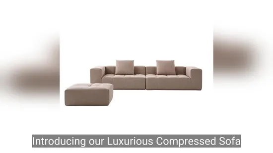Luxurious Compressed Sofa with High
