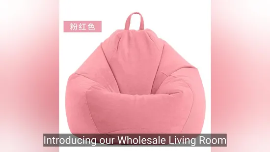 Wholesale Living Room Bedroom Sofa Chair Cover Bean Bag Cover 